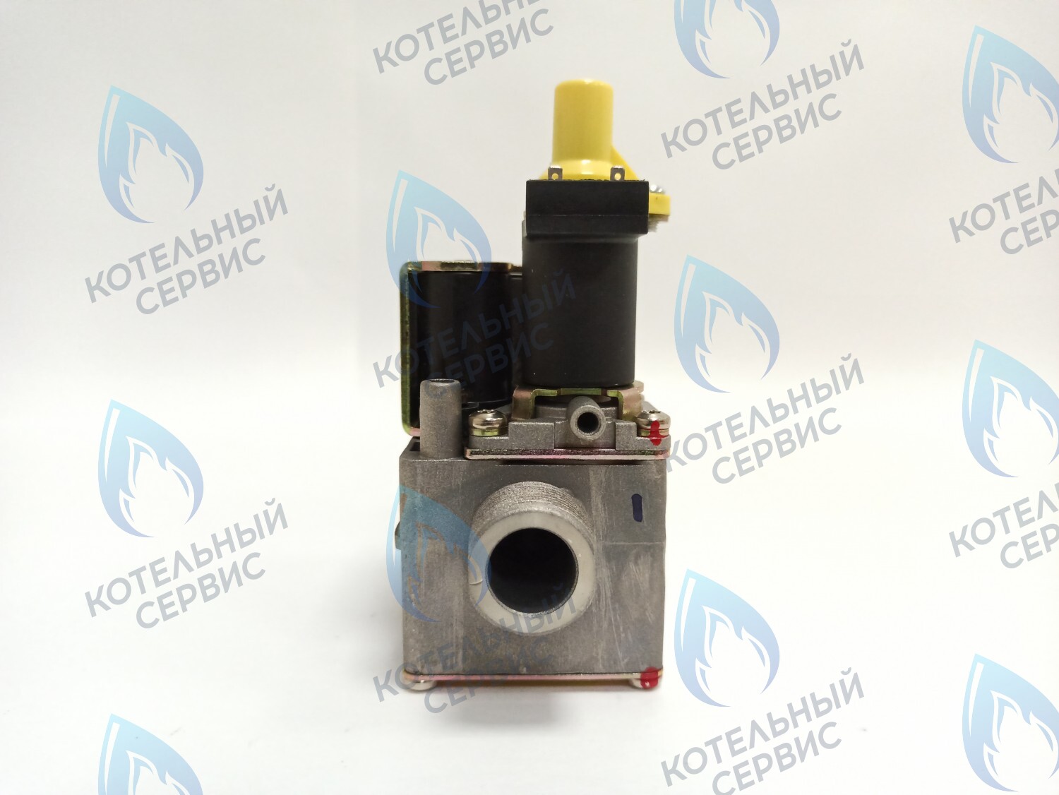 Газовый клапан Electrolux (AA10021032)