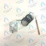 Термостат дымовых газов предохранительный 110C  (36401810) FERROLI