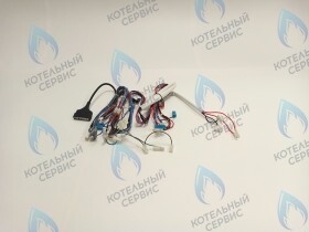 Комплект проводов Ferroli Fortuna Pro (398000240, 46461710)