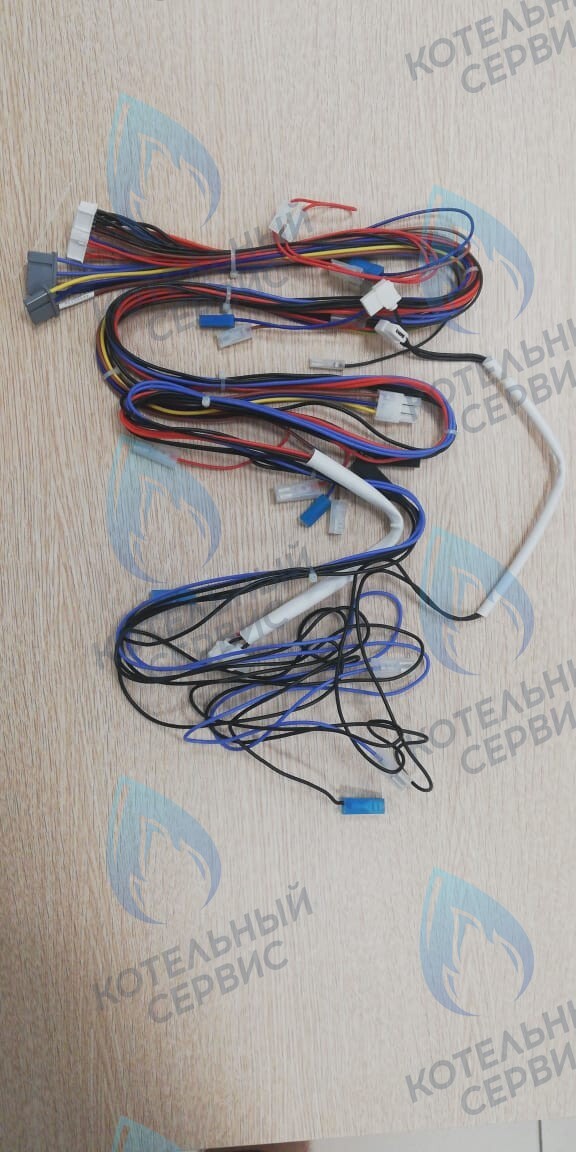 Комплект проводов Ferroli (RU) Domina F 24 Pro (398065420)