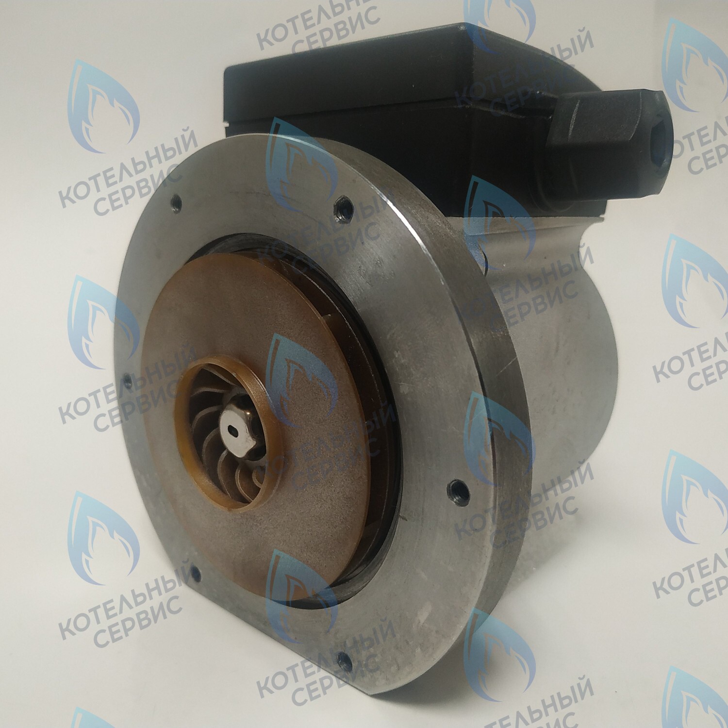 Двигатель насоса (без улитки, без фишки коннектора) ERCO 15/6 100w (для замены вместо KPM-100 S132100041, S132100050)