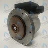 Двигатель насоса (без улитки, без фишки коннектора) ERCO 15/6 100w (для замены вместо KPM-100 S132100041, S132100050)