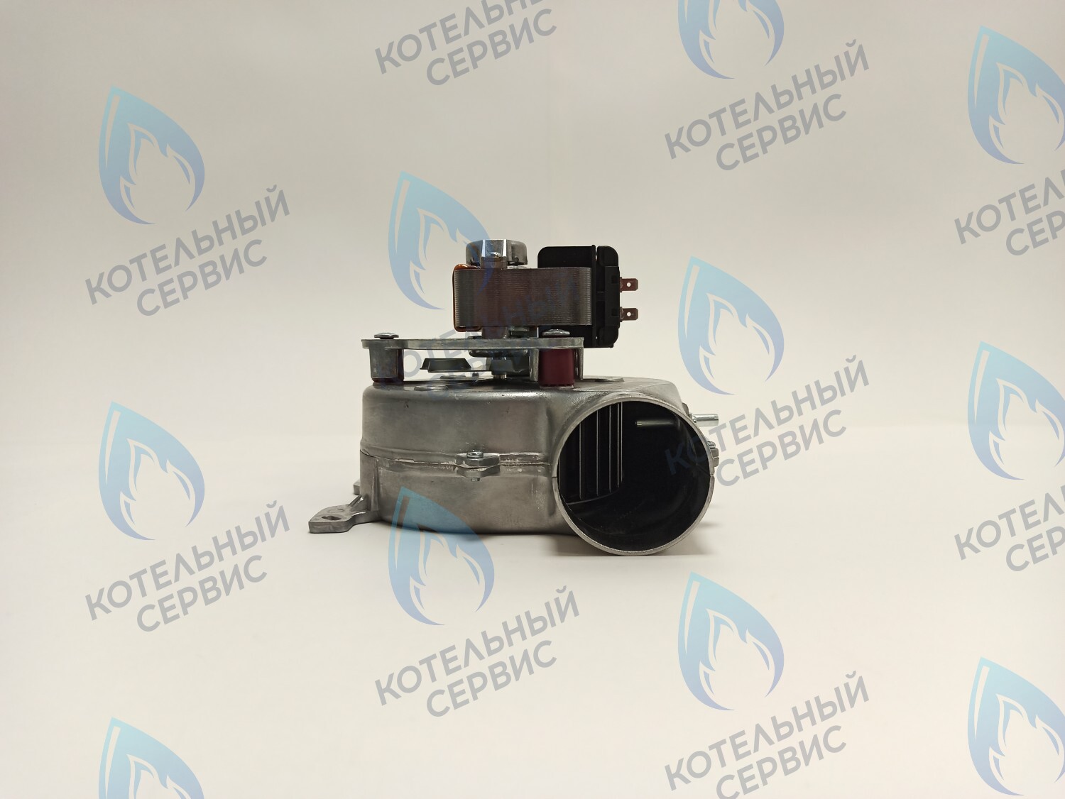 Вентилятор Protherm Lynx 11/24/28 (N-RU), Ягуар JTV 11/24 (0020118666)