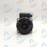 Двигатель насоса (без улитки) WILO RS 15/7 132w (30мм по часовой) FERROLI, FONDITAL, BAXI и др