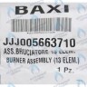 Горелка (13 элементов) BAXI