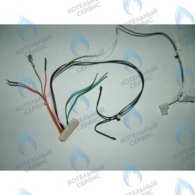 Проводка электрическая низковольтная (от разъема платы x5 к модулятору, клеммной колодке, реле минимального давления) BAXI