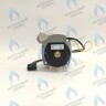 Двигатель насоса 1000L/H аналог WILO INTVACL 15/5-2 Protherm Гепард 23 MTV / MOV вер. 19, Пантера 25 KTV / KOV, 30 KTV вер. 19 (без улитки) (против часовой, втулка 35мм, колесо 68/21мм) (0020097216, 0020197548)