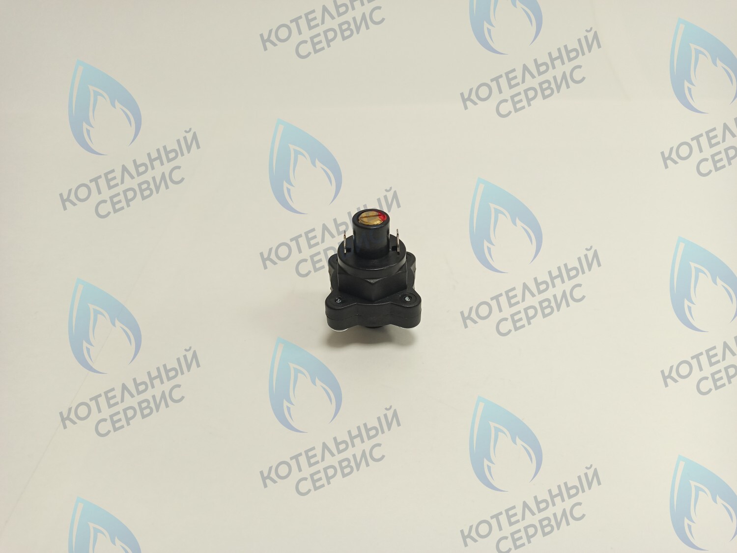 Датчик (замкнут/разомкнут) минимал. давления теплоносителя GAZLUX после 09.2007, GAZECO 18/24  (09-2076, 09-4076)