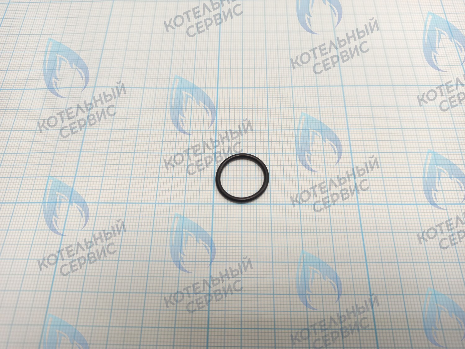 Прокладка O-Ring 1,78 X 15,6 (BI1001 131)