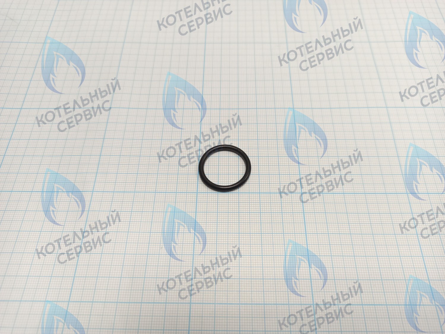 Прокладка O-Ring 2,6 X 20,6 (BI1001 130)