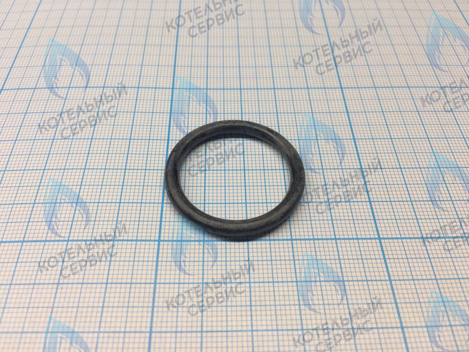 Кольцо уплотнительное насоса  CELTIC-DS PLATINUM (все модели) (3080016)