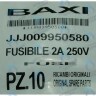 Предохранитель плавкий (2 А- 250 В) BAXI