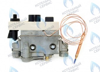 Автоматика безопасности 710 ЛЕМАКС (Lemax)