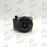Двигатель насоса (без улитки) WILO RS 15/6 93w (30мм по часовой) FERROLI, FONDITAL, BAXI и др