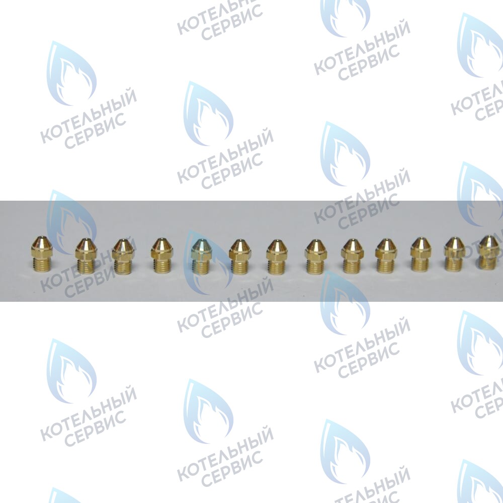 Инжекторы для природного газа комплект BAXI