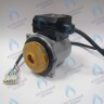 Двигатель насоса WR15/5-2V (против часовой стрелки) PROTHERM Пантера 25 KTV H-RU (0020197548), Гепард, Пантера V.19 (только для ТУРБО!) (0020097216) (замена WILO INTVACL 15/5-2)