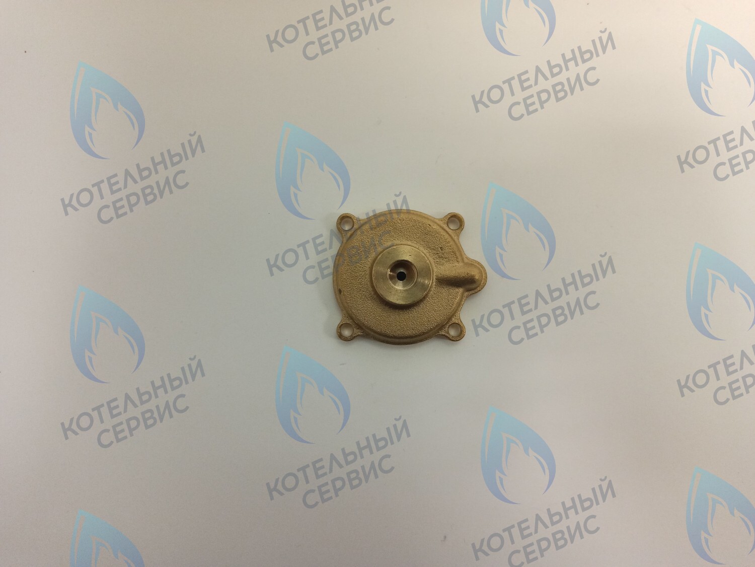 Крышка датчика протока (50101027) ELECTROLUX