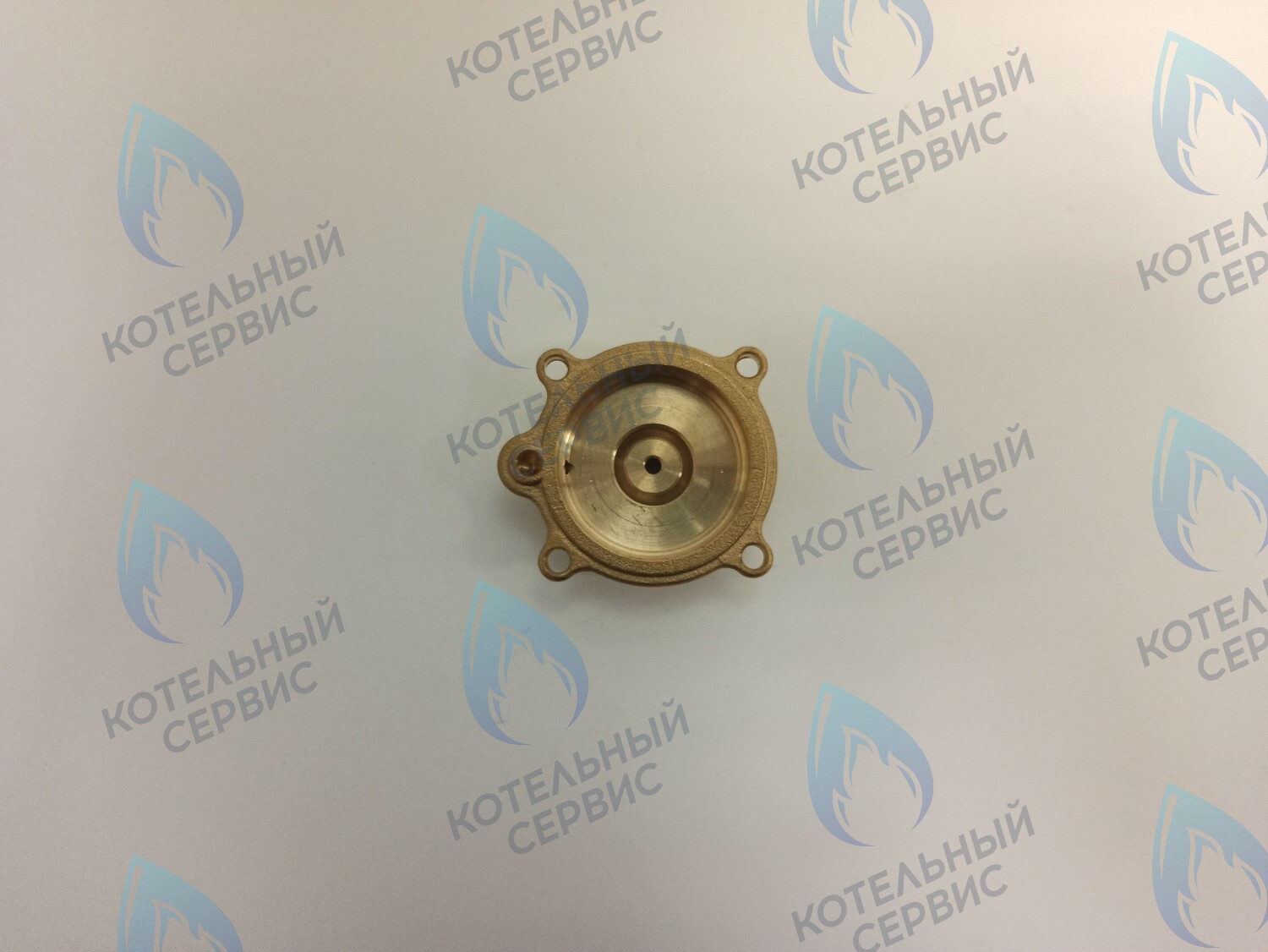 Крышка датчика протока (50101027) ELECTROLUX