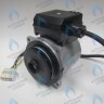 Двигатель насоса WS15/6-2V (по часовой стрелке) PROTHERM Лев, Пантера V.18 (0020078492), Скат K13, Дельфин (0020094635), Скат V14 (0010025841) VAILLANT atmo/turboTEC 20-28 КВТ (0020213167, 0020005803), eloBLOCK (0020107584) (замена WILO VHSL15/6 HE-2, INT