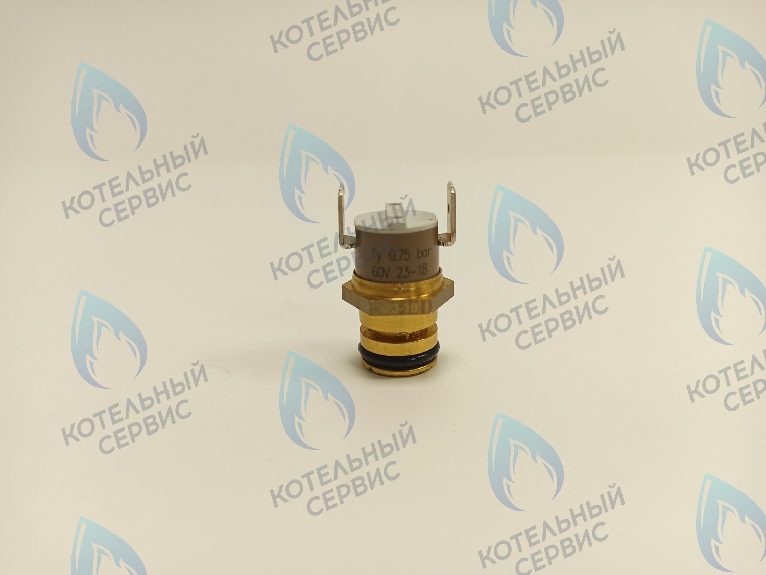 Датчик давления воды FONDITAL