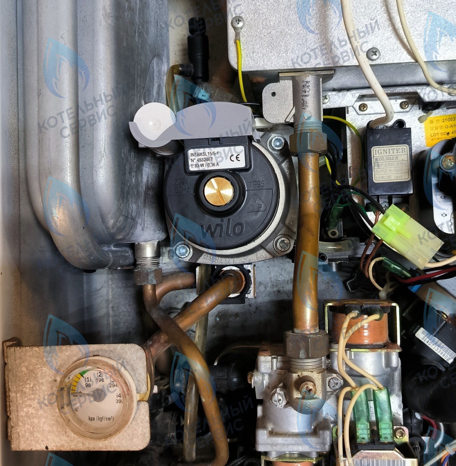 Насос циркуляционный 5м для MASTER GAS SEOUL 11-24 (2050118, 2050130), DAESUNG A16-24 (52050118, 52050130), ARDERIA 2.13-20, CELTIC-DS 3.13-3.20 (2050118, 2050130)