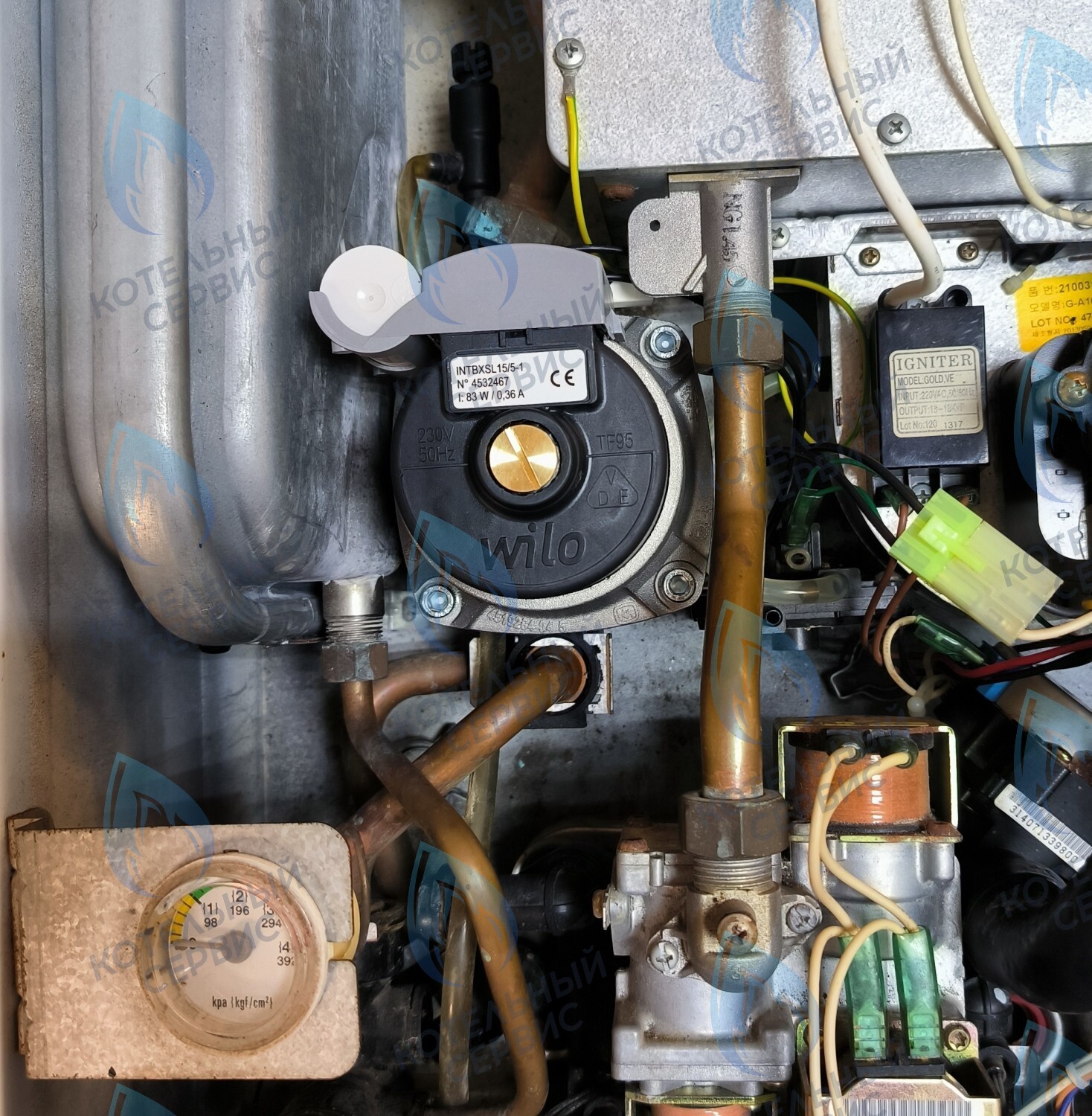 Насос циркуляционный 5м для MASTER GAS SEOUL 11-24 (2050118, 2050130), DAESUNG A16-24 (52050118, 52050130), ARDERIA 2.13-20, CELTIC-DS 3.13-3.20 (2050118, 2050130)