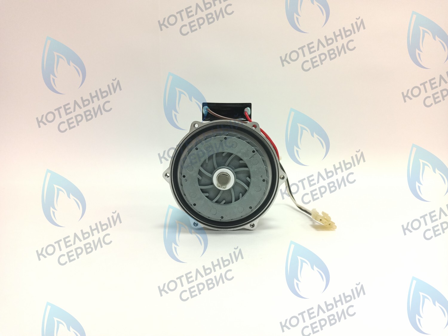 Двигатель насоса (без улитки, с прокладкой) 77w GRUNDFOS CS-0108DSB ARDERIA 2.13-20, CELTIC-DS 3.13-3.20, MASTER GAS SEOUL 11-21, DAESUNG A16-24